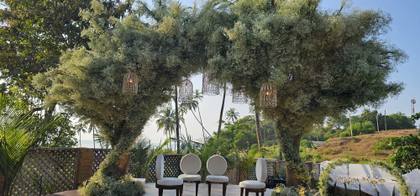 Ceiling and Lounge — wedding decor — Casa Waters